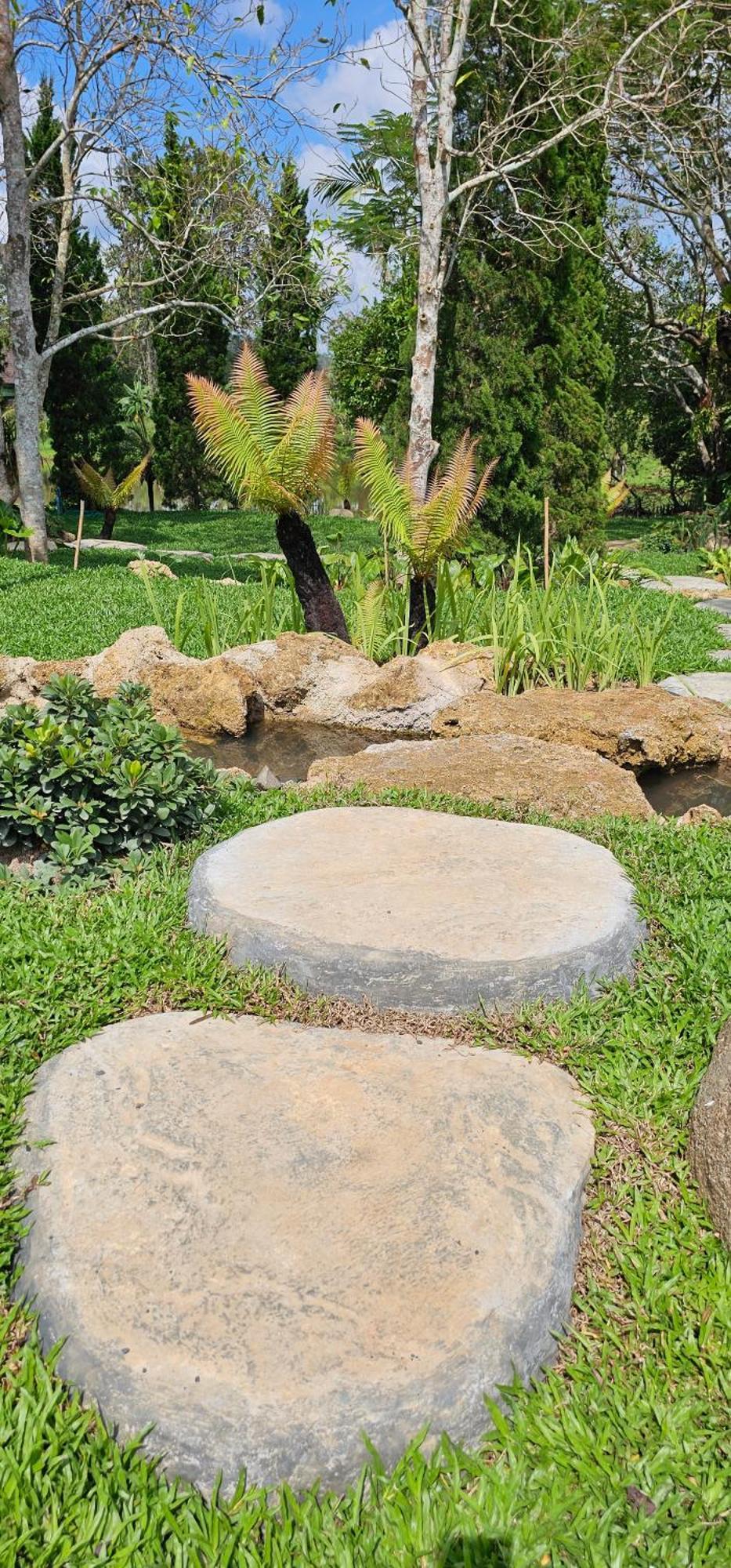 Homdoiintr Farmstay ฮ่อมดอยอินทร์ ฟาร์มสเตย์ Ban Huai Kaeo Екстериор снимка