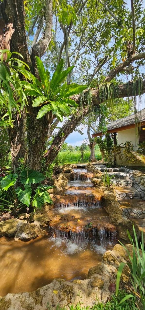 Homdoiintr Farmstay ฮ่อมดอยอินทร์ ฟาร์มสเตย์ Ban Huai Kaeo Екстериор снимка