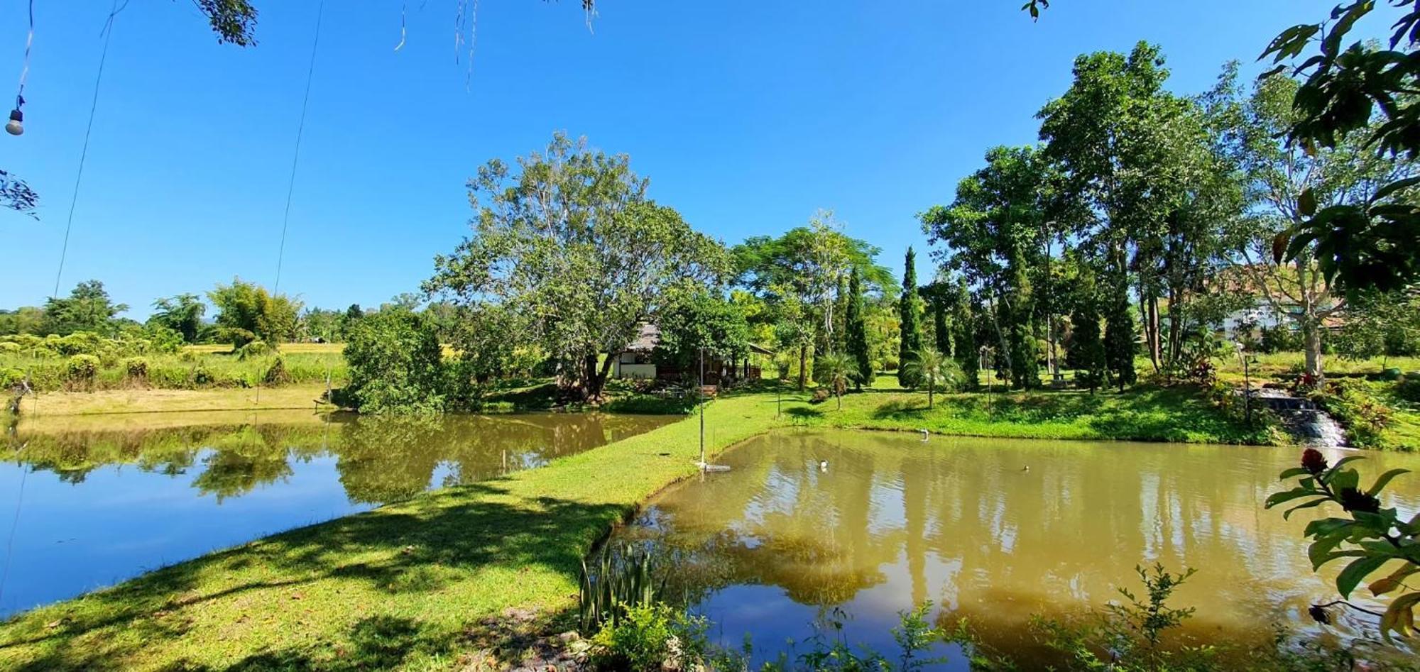 Homdoiintr Farmstay ฮ่อมดอยอินทร์ ฟาร์มสเตย์ Ban Huai Kaeo Екстериор снимка